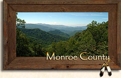 McMinn County Tennessee