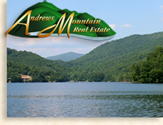 Andrews Mountain Real Estate