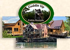 Cabin Rentals in Blue Ridge Georgia
