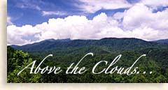Above the Clouds...Cohutta Wilderness