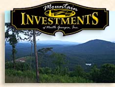 Real Estate in North Georgia