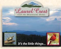 Land for Sale in Murphy