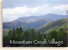 Mountain Creek Village