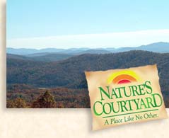 Natures Courtyard