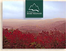 Land for Sale in Jasper Georgia