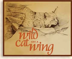 Wild Cat on a Wing