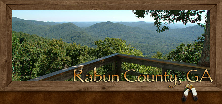 counties in ga. Rabun County Georgia