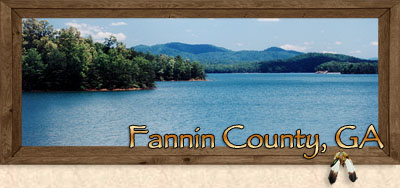 Blue Ridge, Dial, Aska Adventure Area, Morganton, McCaysville & Mineral Bluff in Fannin County Georgia 