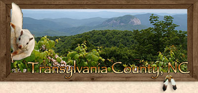 Transylvania County North Carolina