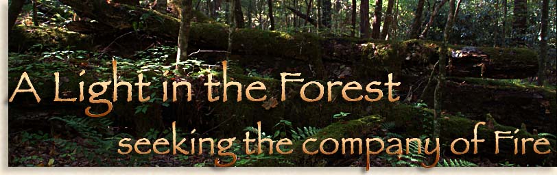A Light in the Forest - Seeking the Company of Fire