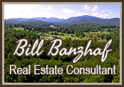 Bill Banzhaf, Real Estate Consultant