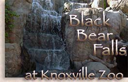 Knoxville Zoo - Great Smoky Mountains