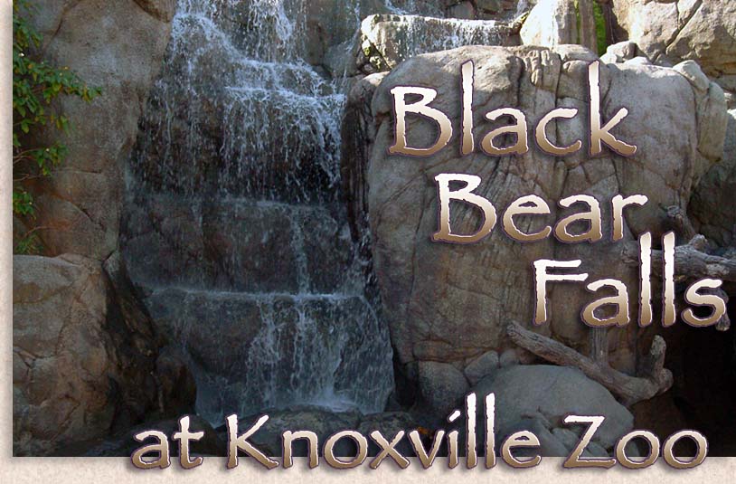 Black Bear Falls at Knoxville Zoo