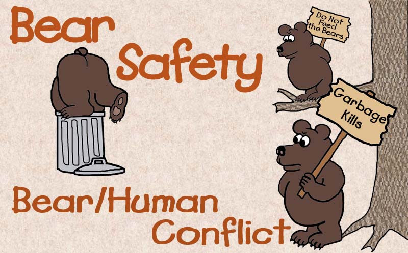 Bear Human Conflict
