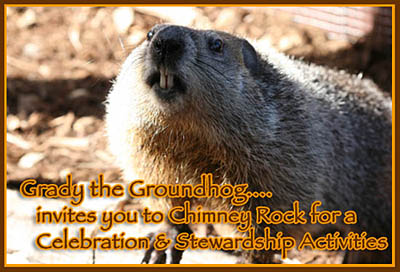 Grady the Groundhog