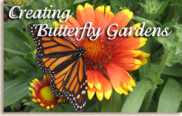 Planning a Butterfly Garden