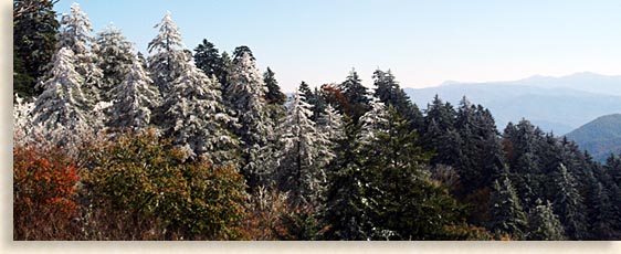 Smoky Mountains in the winter