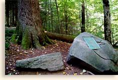 History of Joyce Kilmer Memorial Forest