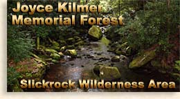 Joyce Kilmer Memorial Forest - Slickrock Wilderness Area