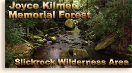 Joyce Kilmer Memorial Forest