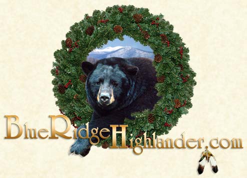 Blue Ridge Highlander Beary Bear