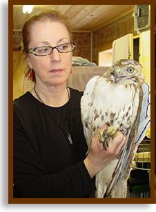 Liz Nicholas, Wildlife Rehabilitator