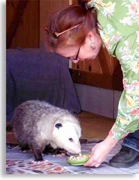 Opossum and Liz
