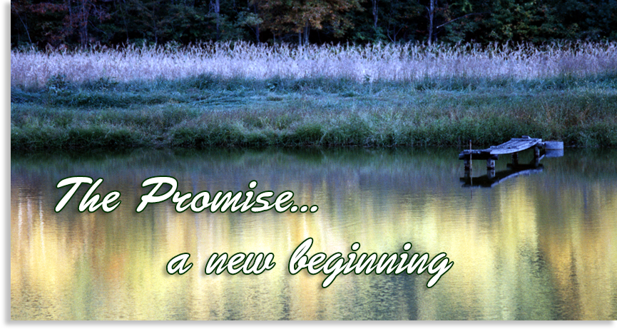 a new beginning...the promise