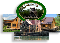 Cabin Rentals in the Blue Ridge North Georgia Area