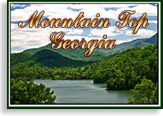 Mountain Top Georgia