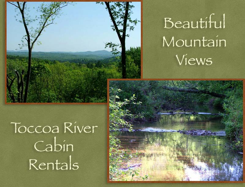 Vacation Cabin Rentals on the Toccoa River