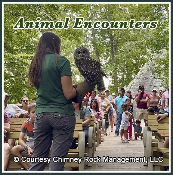 Chimney Rock Winter Break Family Animal Encounters