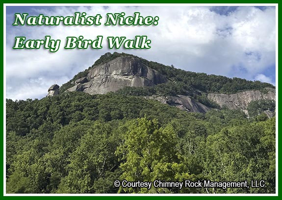 Naturalist Niche Series