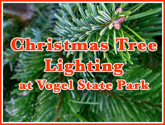 Vogel State Park Tree Lighting