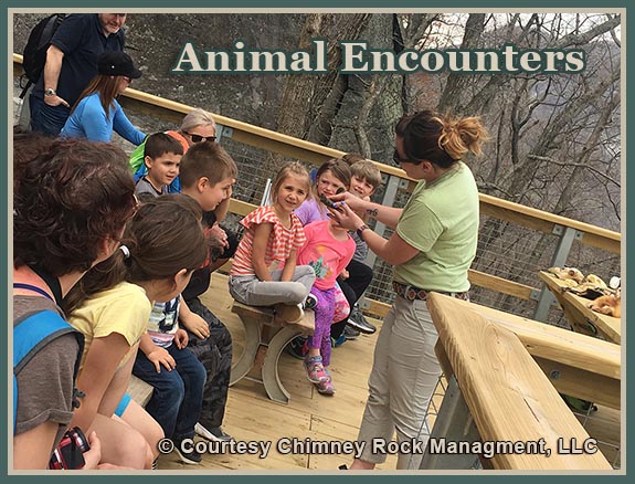 Chimney Rock Spring Break Family Animal Encounters