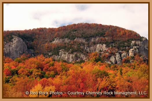 Naturalist Niche - Ecology of Chimney Rock