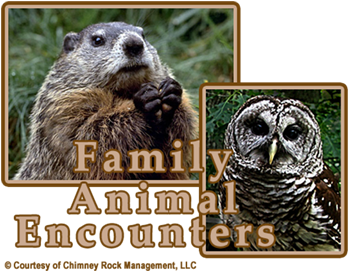 Chimney Rock Family Animal Encounters