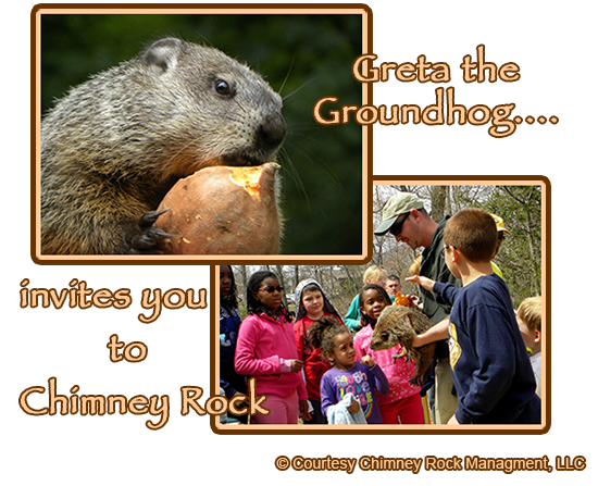 Greta the Groundhog at Chimney Rock