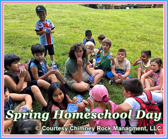 Spring Home School Day