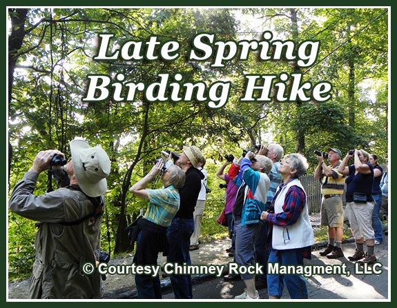 Late Spring Birding Hike