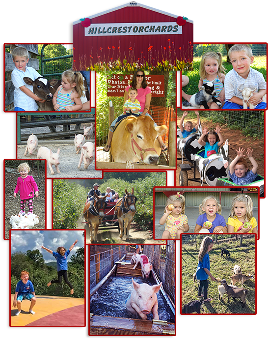 Ellijay GA Hillcrest Orchards' Apple Jubilee Highlander Calendar of