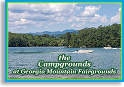 Campgrounds at Georgia Mountain Fairgrounds