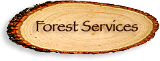 National Forestry Service