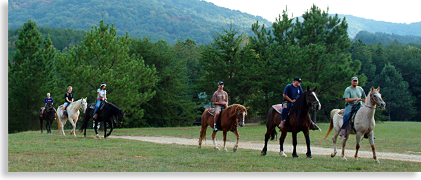 Horseback Riding in Blue Ridge, McCaysville, Aska Adventure area of Fannin County