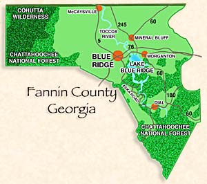Fannin County map