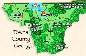 Town County Georgia