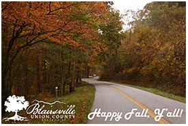 Visit Blairsville - Union County GA