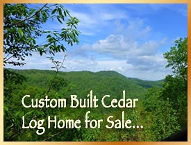 Mountain View Luxury Cedar Log Home near Asheville