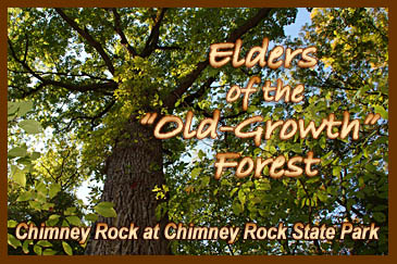 Chimney Rock at Chimney Rock State Park