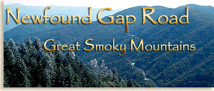Newfound Gap Road in the Western North Carolina - Scenic Highlander Driving Tours